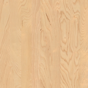Widely used in woodworking projects, white birch has a light-toned color reminiscent of maple.  It accepts a range of stains and paints to fit a multitude of home styles.