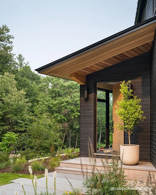 Modern wooden front door contrasted to a black house with greenery from the yard shown. 