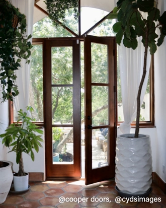 37103 shown in Douglas Fir