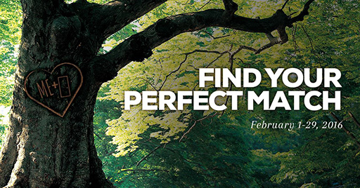 Find Your Perfect Match