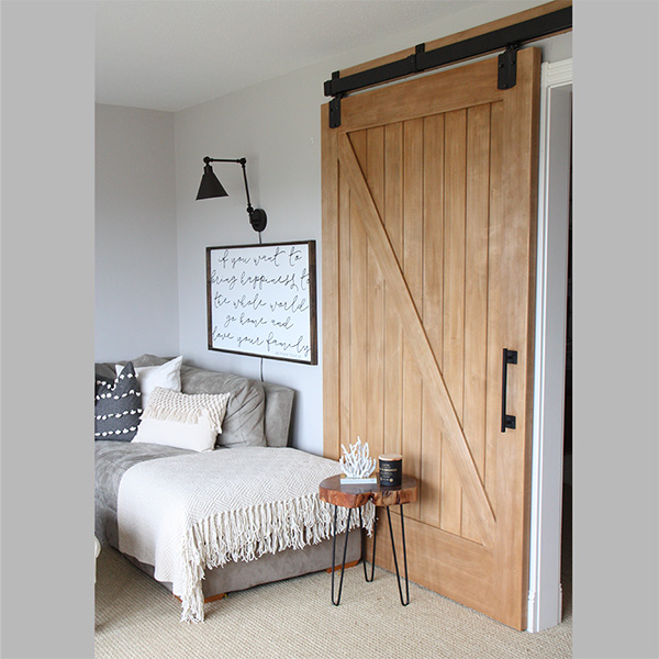 Barn Door in Living Room